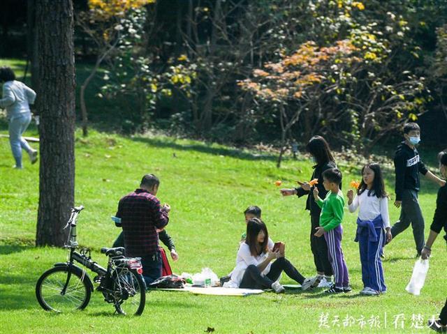 |暖阳露面，户外漫步抓住假期的尾巴