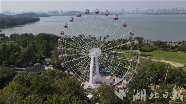 |今天，武汉东湖景区好热闹