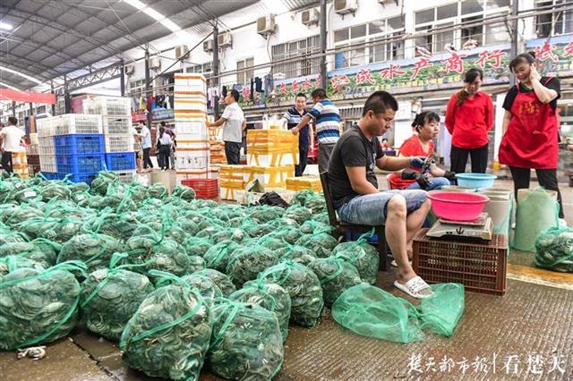 |划算！蟹农抢黄金周集中出货，在武汉，5元一只的螃蟹“岔”着吃