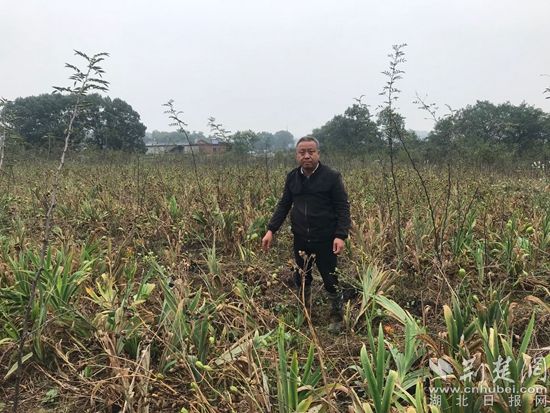 |阳新村民程时海：昔日贫困户 今日致富带头人