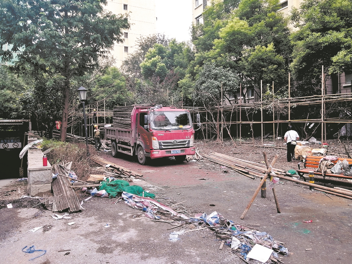 |脚手架遮挡的绿植枯死了 物业公司表示将尽快恢复