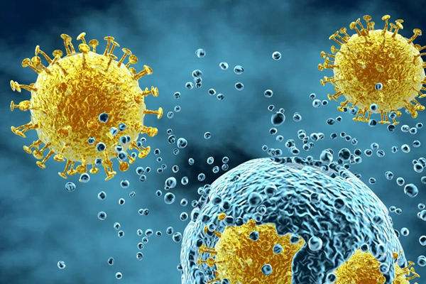 |【10月6日】24小时TOP10