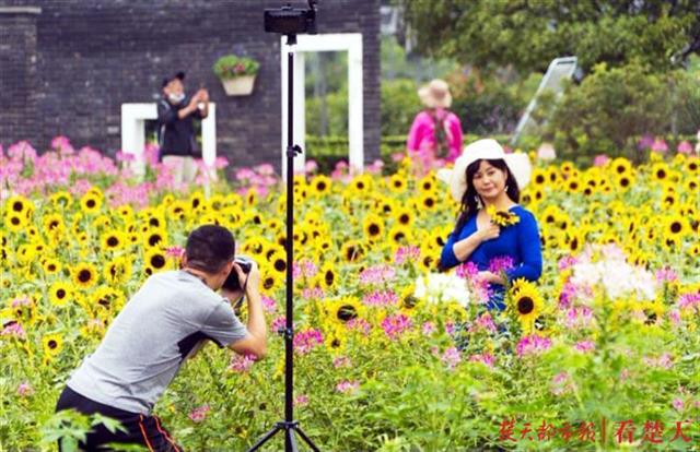 |秋路雨添花，花动一山秋色