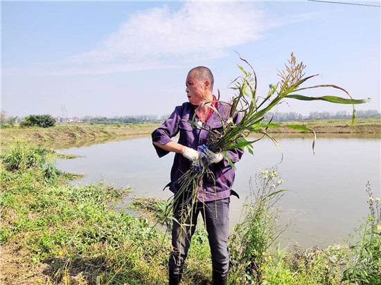 |就业扶贫看鄂州（13）精准脱贫户陈新强：用勤劳的双手扛起幸福家