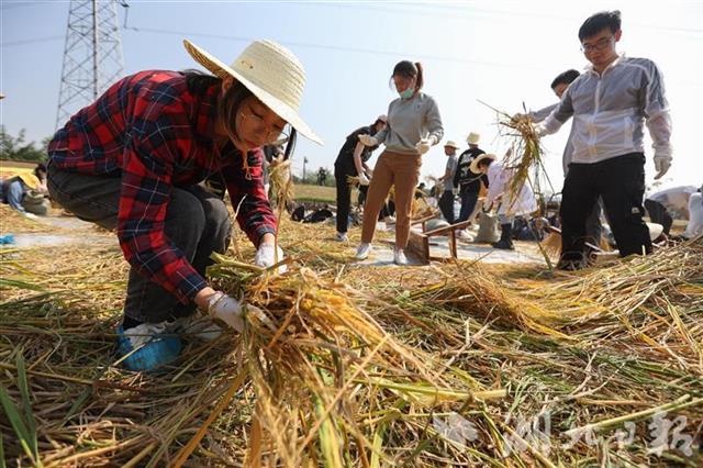 接地气!武汉大学生走进田间干农活