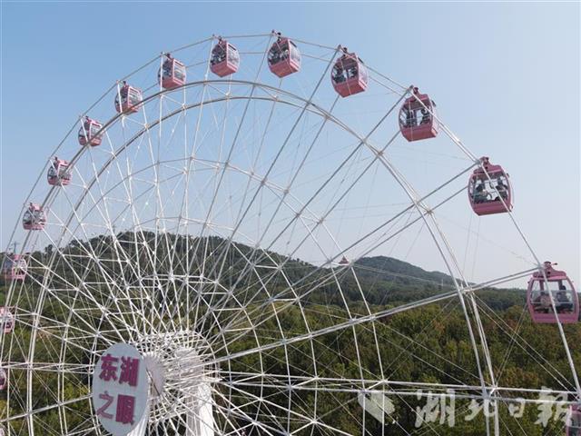 |今天，武汉东湖景区好热闹