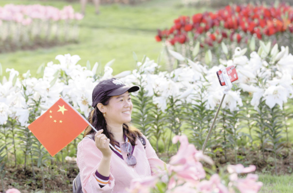 |花博汇景区各色花海浪漫绽放