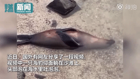 |【10月6日】神评论|一个敢点，一个敢送