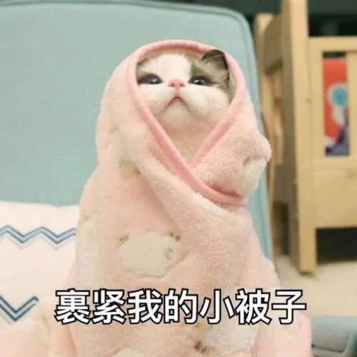 |气温猛降！新一轮大风+降雨马上杀到！接下来的天气看笑了...