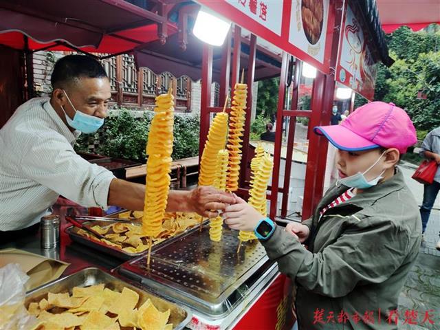 |武汉园博园开放免费预约旅游，吸引了更多外地游客