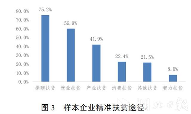 |湖北：6876家民营企业对口帮扶6180个贫困村
