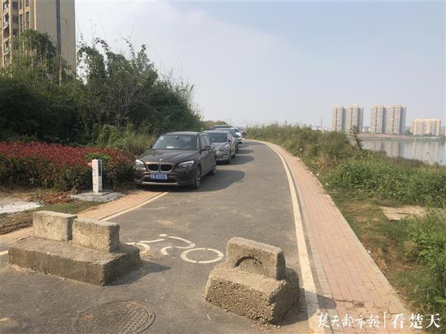 |机动车开进汤逊湖绿道，违停还影响市民散步
