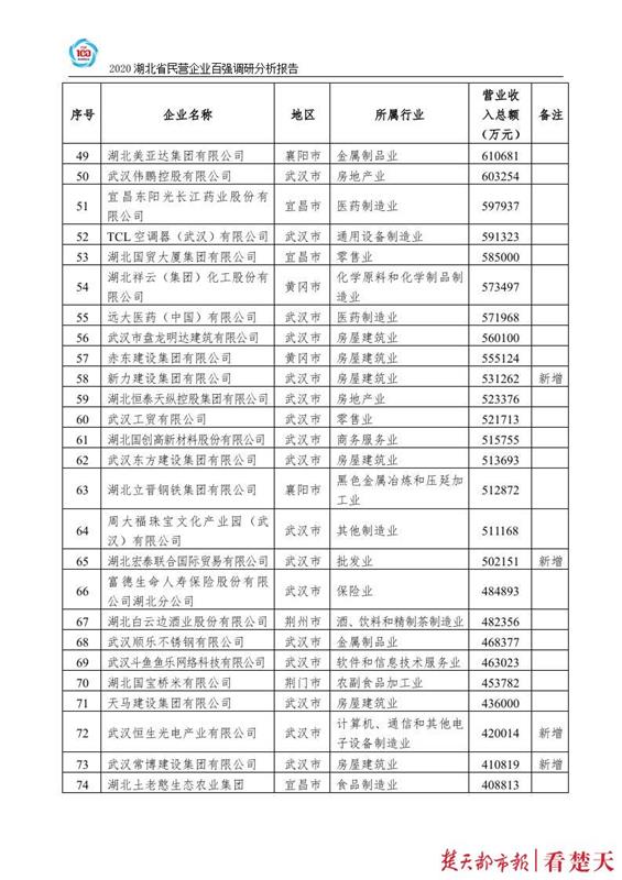 |2020年，这些企业入围湖北民企100强