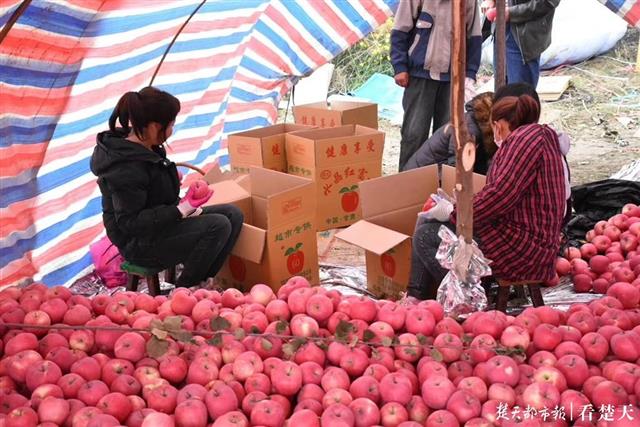 |武汉护士接到陌生来电，原是甘肃果农想再寄苹果慰问医护人员