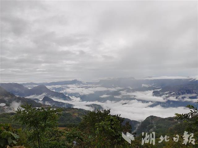 |湖北长阳：绵绵秋雨暂停 山间现壮观云海