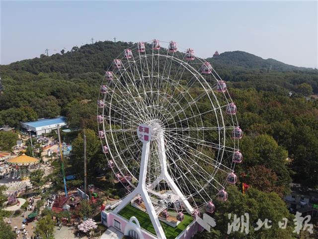 |今天，武汉东湖景区好热闹
