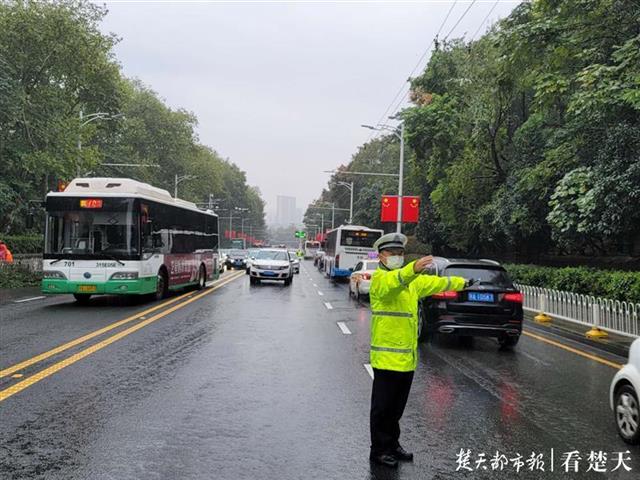 |长江大桥桥头两棵大树突然倾倒，大桥交警冒雨快速处置险情