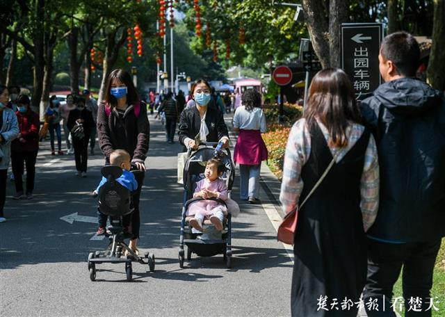 |暖阳露面，户外漫步抓住假期的尾巴