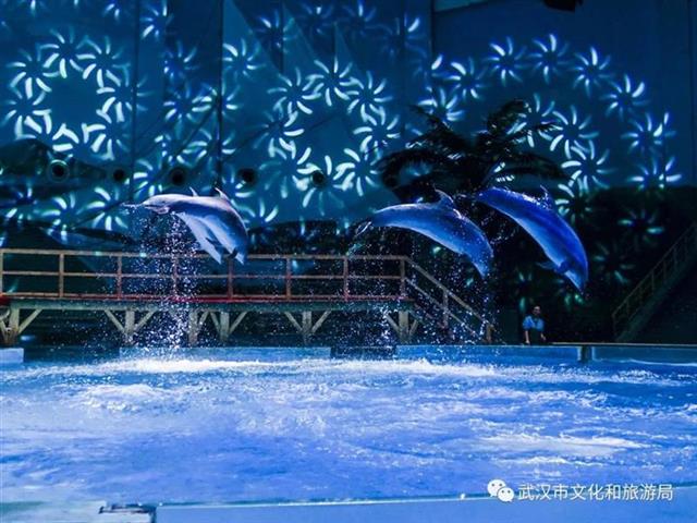 |“十一”黄金周首日人气火爆 武汉热门景区临时调高预约量