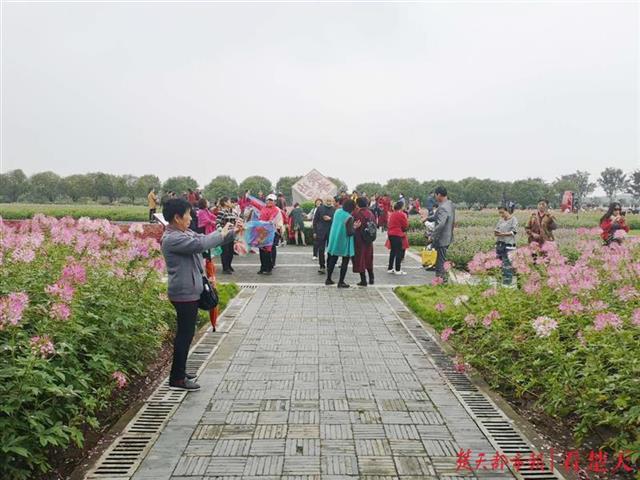 |秋路雨添花，花动一山秋色