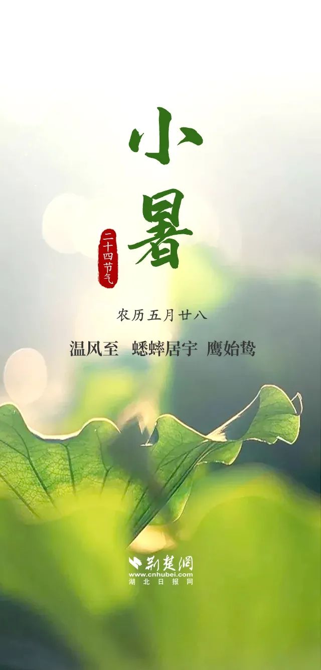 就在明天，5时5分！