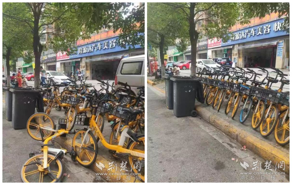 网友诉共享单车堆积 汉阳区次日清理完毕