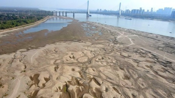 长江水位退,沙洲现奇景