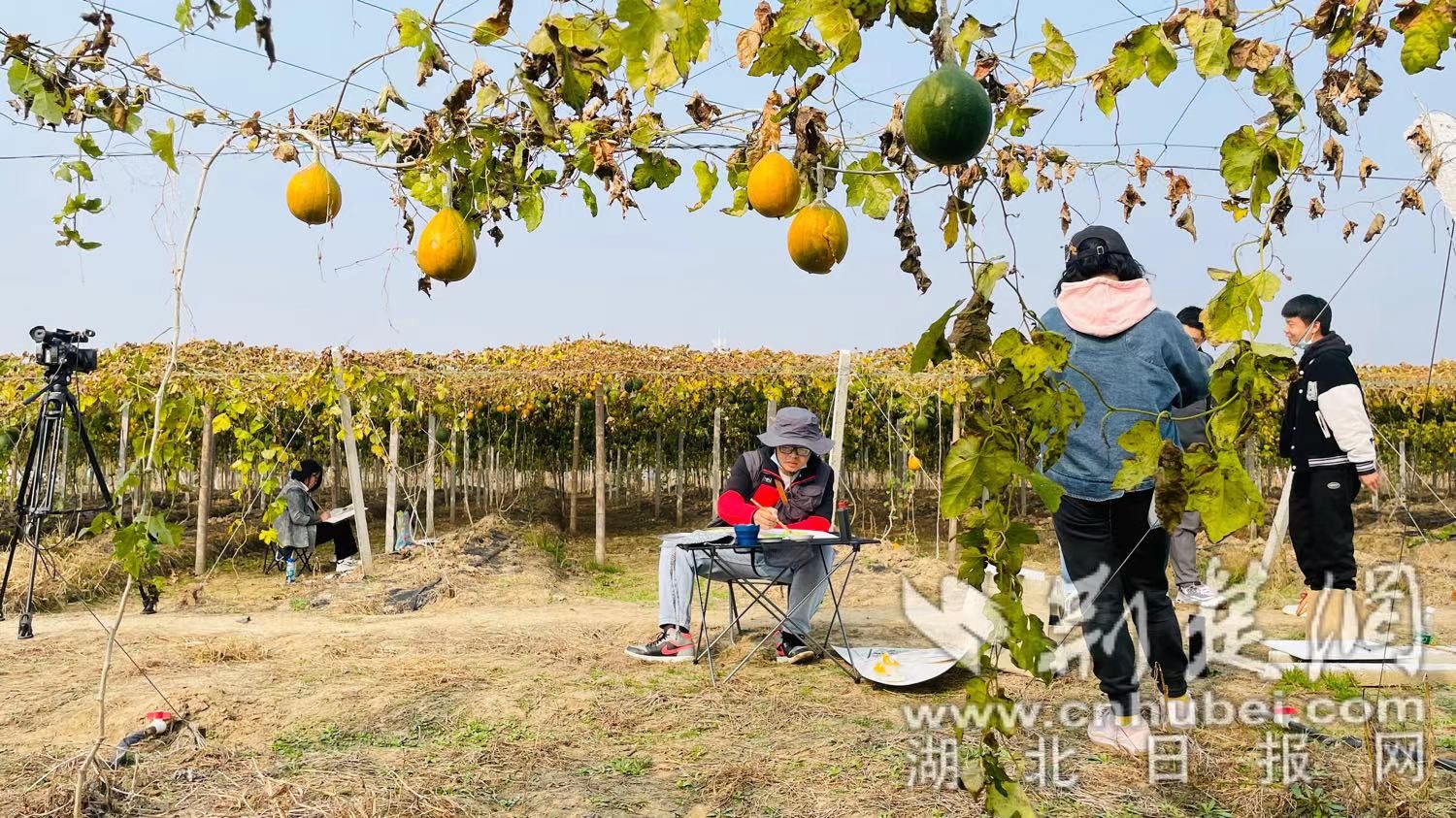 微信图片_20211118204211.jpg.jpg