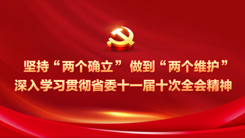 中國共產黨湖北省第十一屆委員會第十次全體會議