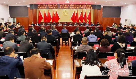 黃石港區(qū)召開“思想破冰 項(xiàng)目破局 發(fā)展突圍”專題研討座談會(huì).jpg