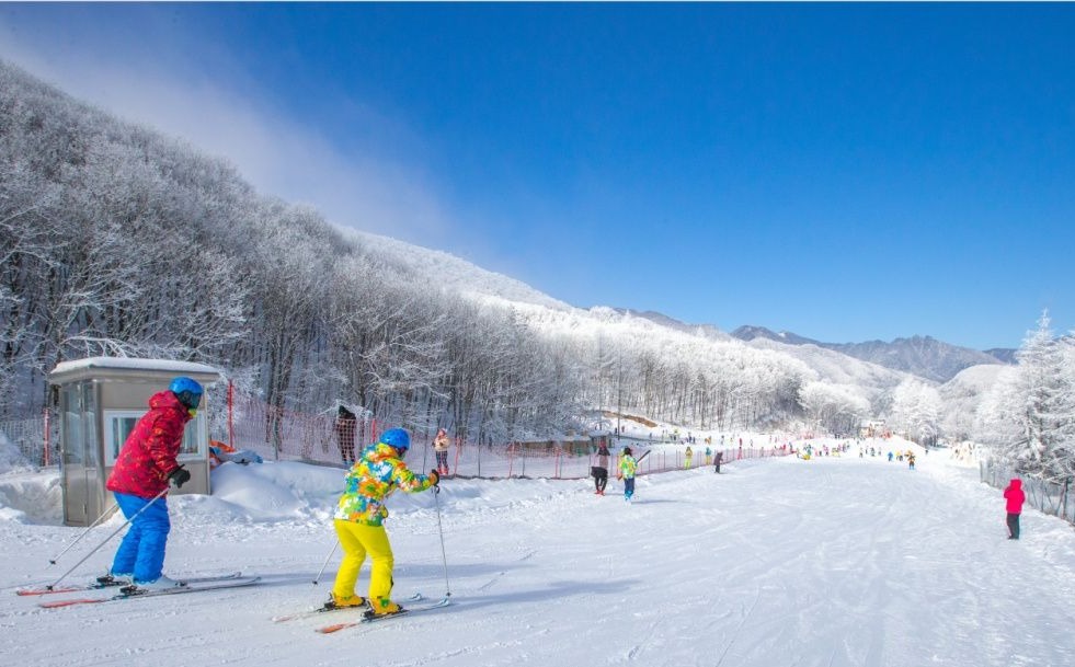 迎著“冬奧風”，打卡湖北16座滑雪場！