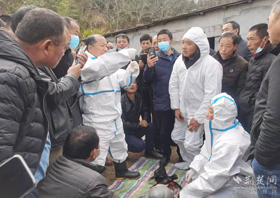 圖片2_副本.png.png