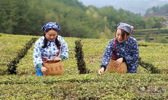 IMG_2530_副本.jpg