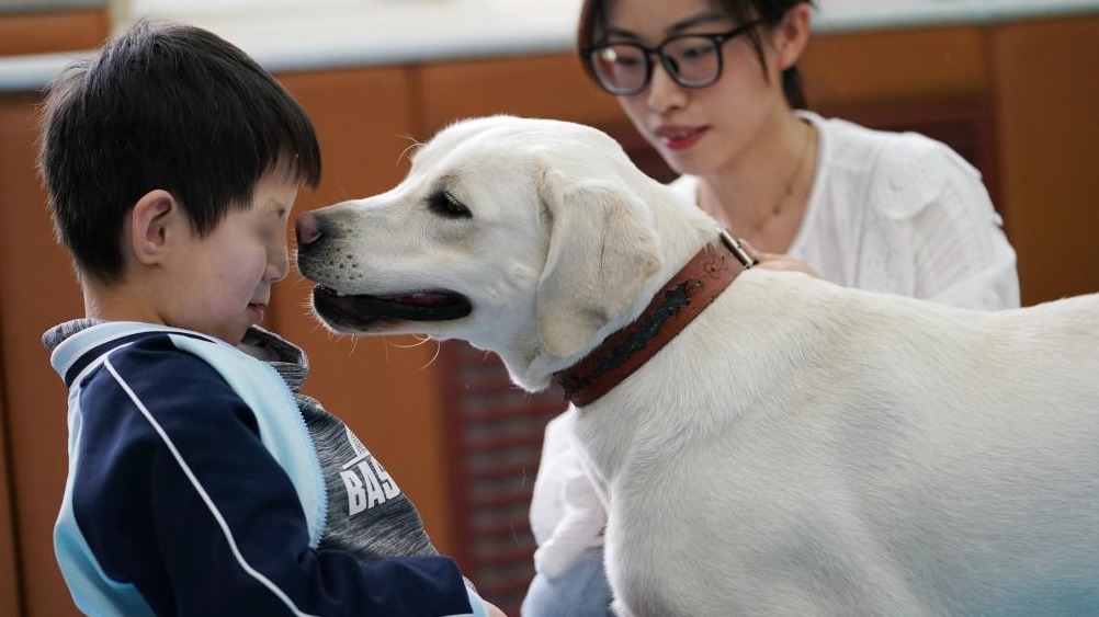“轉業”導盲犬的愛心守護