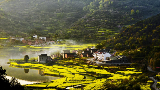 微信圖片_20220524111610.png.png