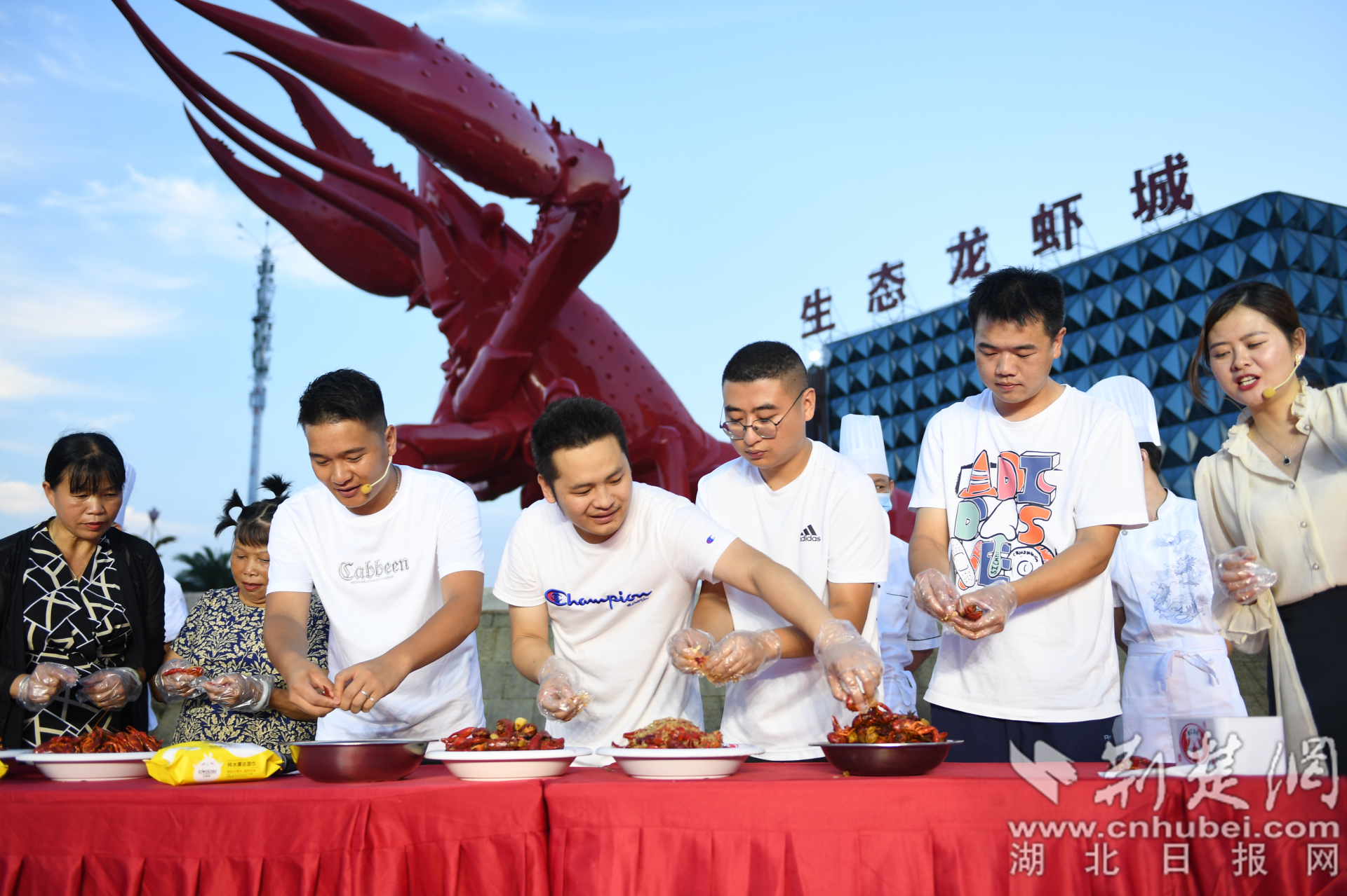 图片7_副本.png.png