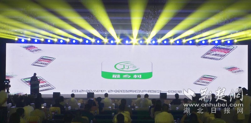 图片5.jpg