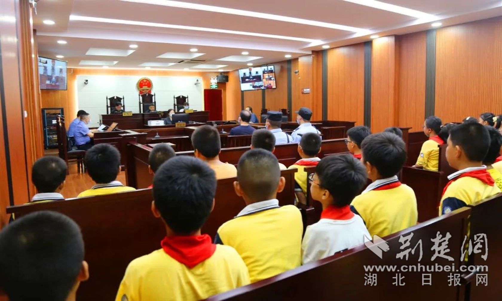 图1_结果.jpg