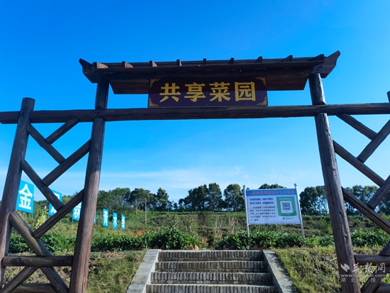共享菜園，增收增樂.jpg