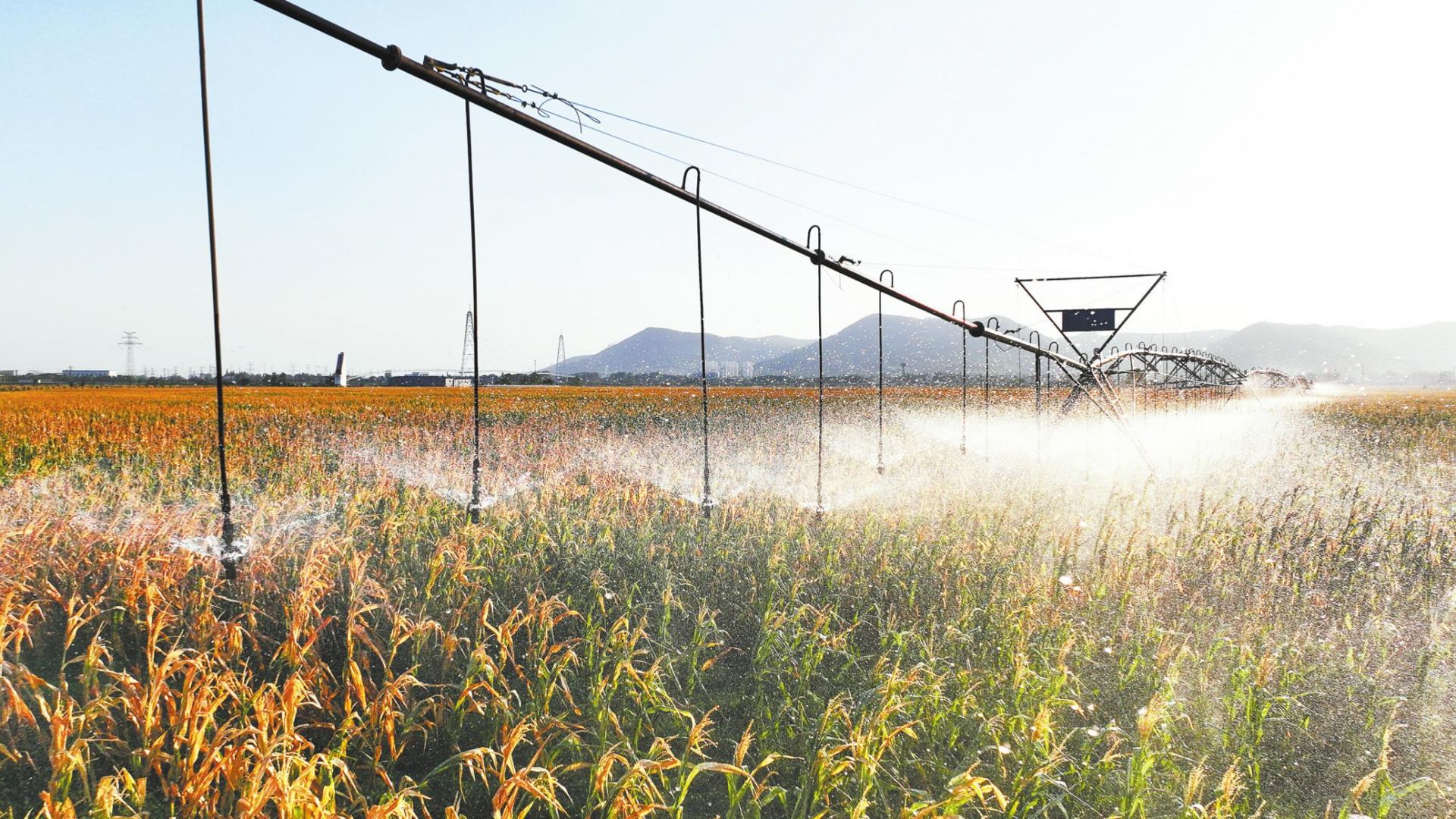 鄂北調水工程抗旱首戰  92萬畝農田不喊渴