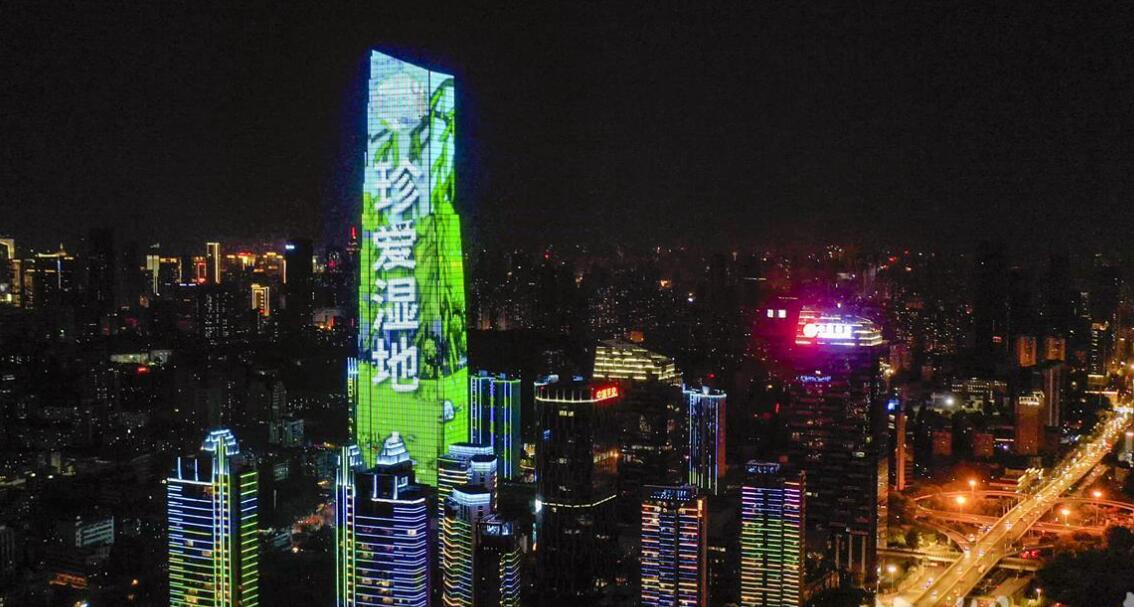 武漢兩江四岸樓宇點亮濕地主題燈光秀