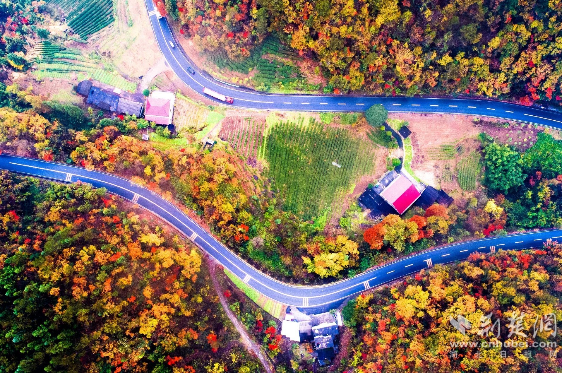 生态廊道缤纷如画，民宿掩映其间（陈丹平摄）.JPG.JPG