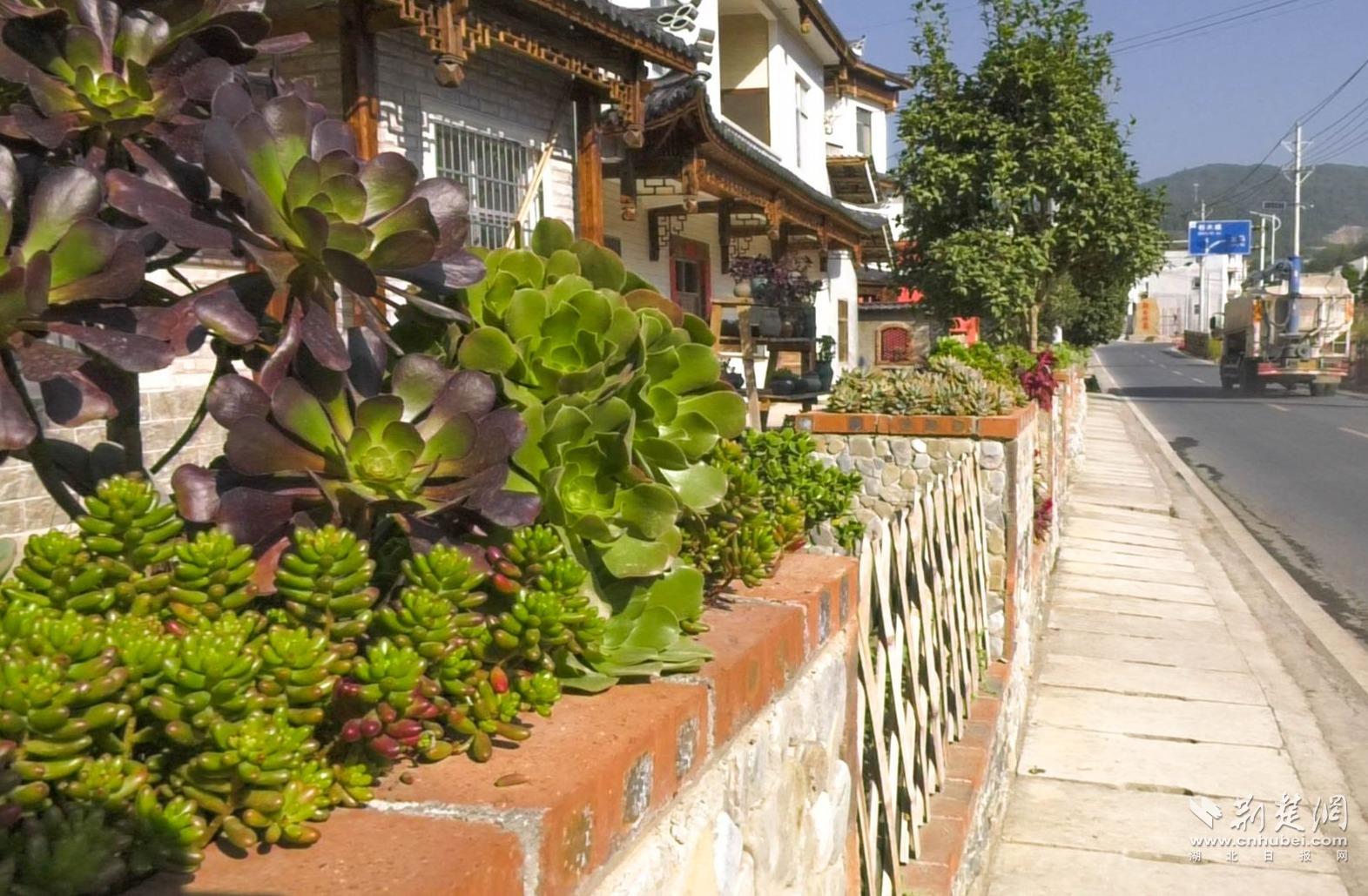 27d4252486c1cee347b385a8d50fdb49_1571X1029_20221104232541