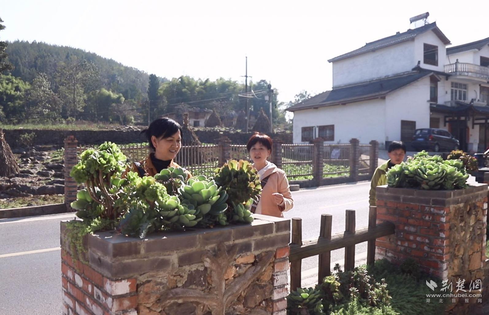 74d3ea3a2ad37786de2248e5fc8fd944_1594X1029_20221104232830