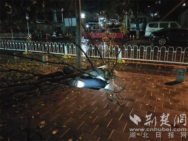 珞桂路一处人行道突发塌陷 摄影 谈文.jpg