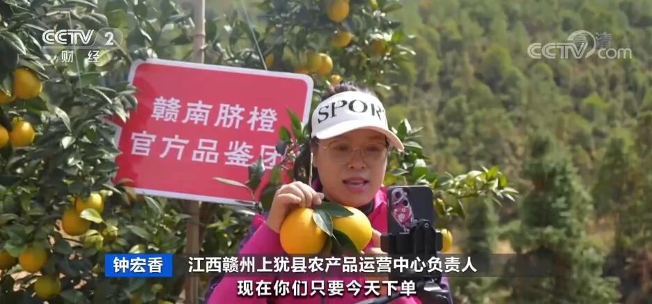 线上线下齐发力赣南脐橙销售“两头旺”