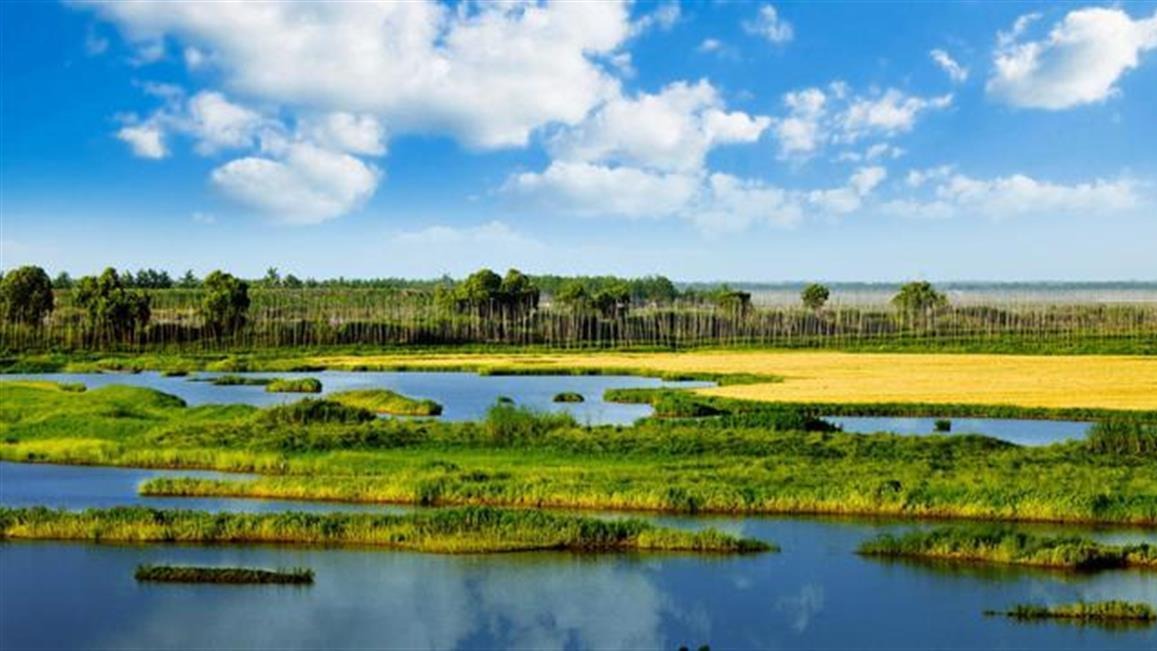湖北新增两处国际重要湿地
