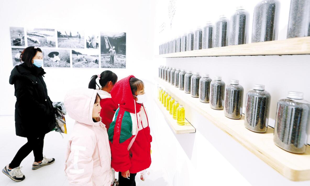 世界首座油菜博物馆在沙洋开馆