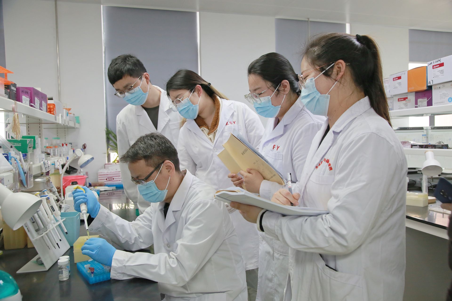 失明小鼠重见光明 武科大研发出新型通用基因编辑工具