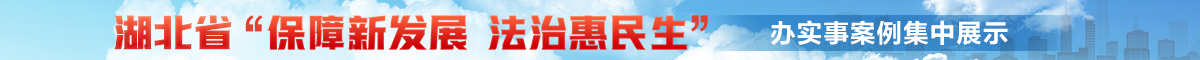 湖北省“保障新发展 法治惠民生”办实事集中展示优秀案例